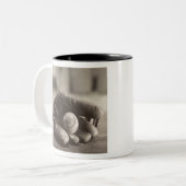 Ball MES01BWD1 in Mitt.tif Zweifarbige Tasse (Vorderseite Links)