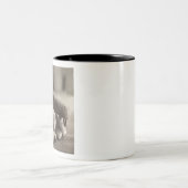 Ball MES01BWD1 in Mitt.tif Zweifarbige Tasse (Mittel)