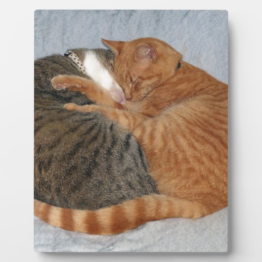 Ball of Cuteness Fotoplatte (Vorderseite)