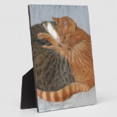 Ball of Cuteness Fotoplatte (Seite)