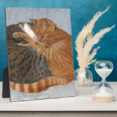 Ball of Cuteness Fotoplatte (Seite)