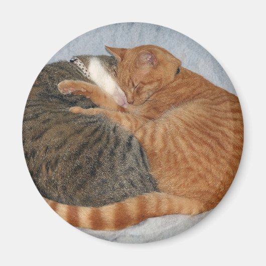 Ball of Cuteness Magnet (Vorne)