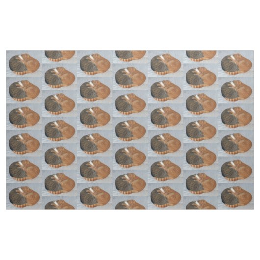 Ball of Cuteness Stoff (Fat Quarter (45,7 x 55,9 cm))