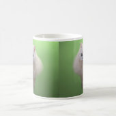Ball of fluff kitten kaffeetasse (Mittel)