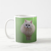 Ball of fluff kitten kaffeetasse (Links)