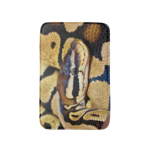Ball Python, Gelber Bauch, gekratzt in Ball Badematte (Vorderseite Vertikal)