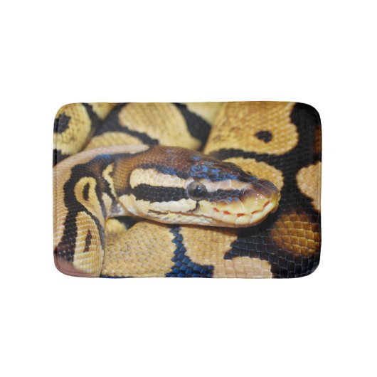 Ball Python, Gelber Bauch, gekratzt in Ball Badematte (Vorderseite)