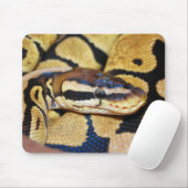 Ball Python, Gesicht, Kopf Mousepad (Mit Mouse)