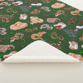 Ball Python Morph Holiday Green Sherpadecke (3/4)