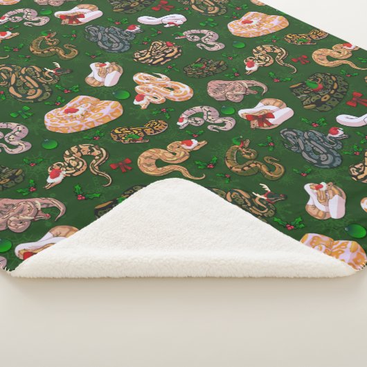 Ball Python Morph Holiday Green Sherpadecke (3/4)