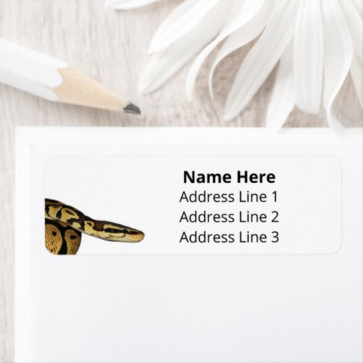 Ball Python Pet Snake Rücksendeadresse (Insitu)