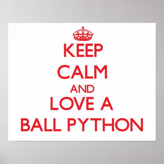Ball Python Poster (Vorne)