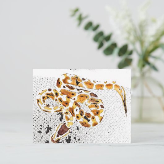 Ball Python Postkarte (Stehend Vorderseite)