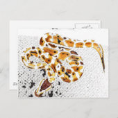 Ball Python Postkarte (Vorne/Hinten)