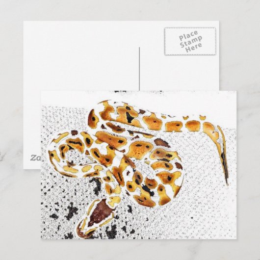 Ball Python Postkarte (Vorne/Hinten)