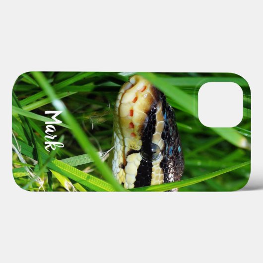 Ball Python Schlange im Gras Case-Mate iPhone Hülle (Rückseite (Horizontal))