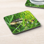 Ball Python Schlange im Gras Getränkeuntersetzer (Linke Seite)