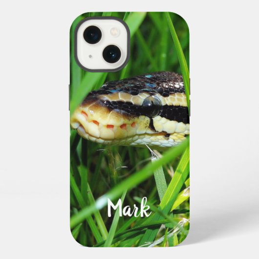 Ball Python Schlange im Gras iPhone Hülle (Rückseite)