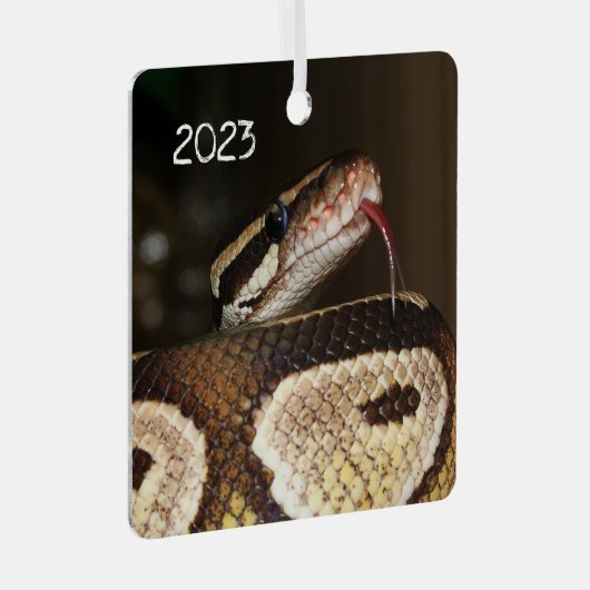 Ball Python Snake Ornament Aus Metall (Vorderseite Rechts)