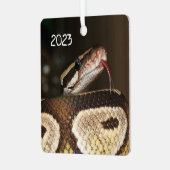 Ball Python Snake Ornament Aus Metall (Vorderseite links)