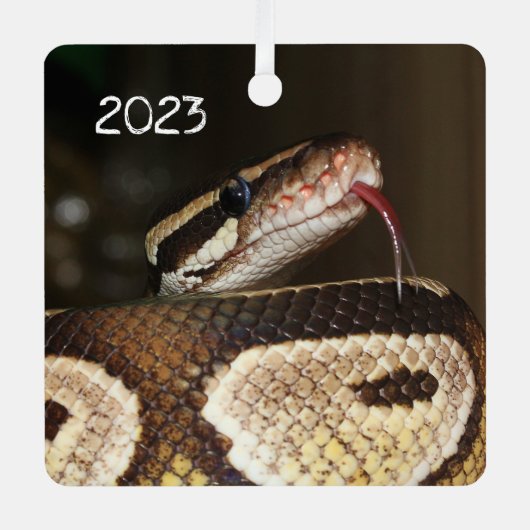 Ball Python Snake Ornament Aus Metall (Vorderseite)