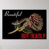 Ball Python Snake Poster (Vorne)