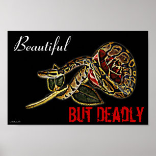 Ball Python Snake Poster