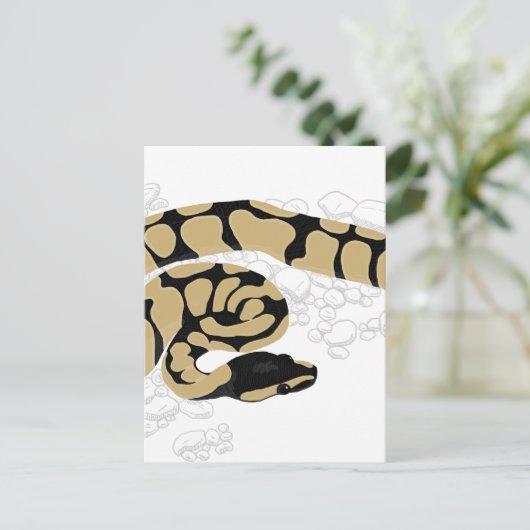 Ball Python Snake Postkarte (Stehend Vorderseite)