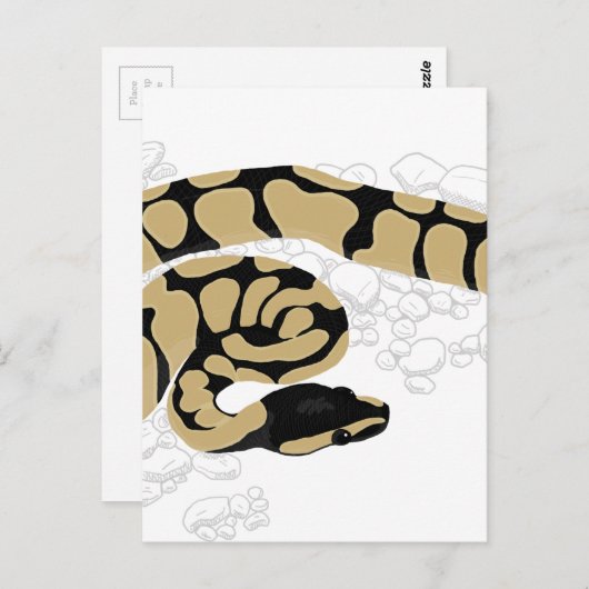 Ball Python Snake Postkarte (Vorne/Hinten)