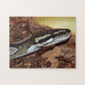 Ball Python Snake Puzzle (Horizontal)