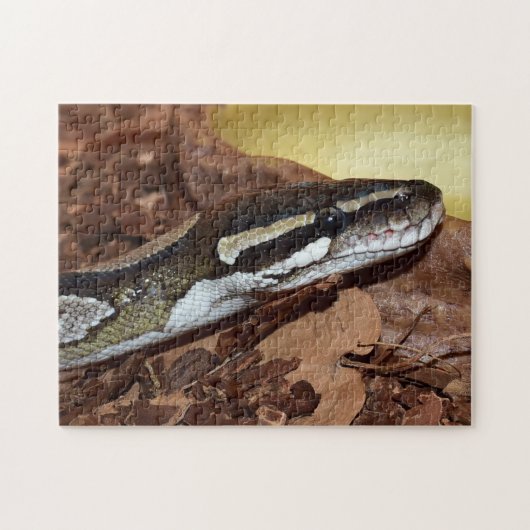 Ball Python Snake Puzzle (Horizontal)