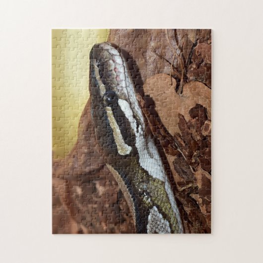 Ball Python Snake Puzzle (Vertikal)