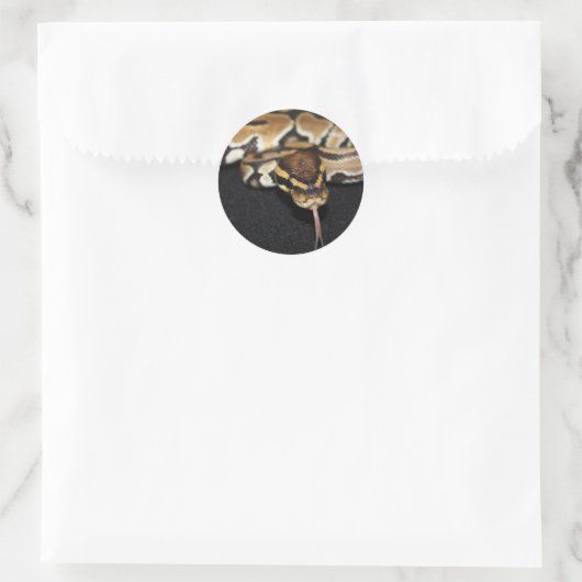 Ball Python Sticker (Tasche)