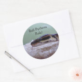 Ball Pythons Regel! Runder Aufkleber (Umschlag)