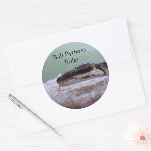 Ball Pythons Regel! Runder Aufkleber (Umschlag)