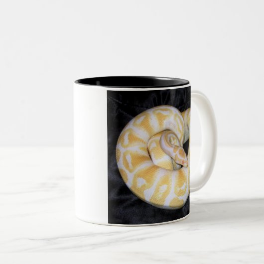 Ball-Pythonschlange - besonders angefertigt Zweifarbige Tasse (VorderseiteRechts)