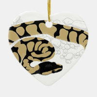 Ball-Pythonschlange-Schlange