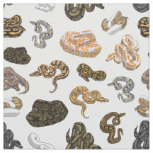 Ball-Pythonschlange-Schlange verwandeln Muster