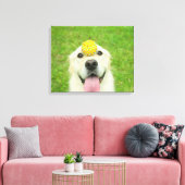 Ball spielen leinwanddruck (Insitu (Wohnzimmer))