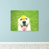 Ball spielen leinwanddruck (Insitu (Holzboden))