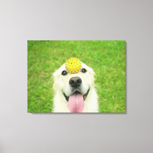 Ball spielen leinwanddruck (Vorderseite)