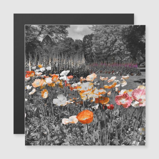 Ballarat Botanic Gardens Blumenmotiv Magnetkarte (Vorne/Hinten)