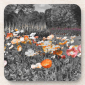 Ballarat Botanic Gardens Untersetzer (Vorderseite)