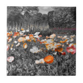 Ballarat Botanische Gärten Fliese (Vorderseite)