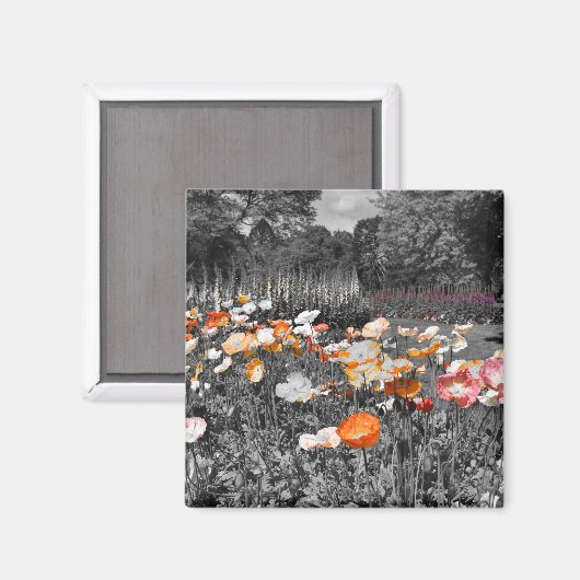 Ballarat Botanische Gärten Magnet (Vorderseite/Rückseite)