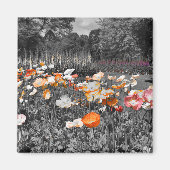 Ballarat Botanische Gärten Magnet (Vorne)