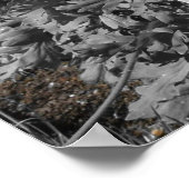 Ballarat Botanische Gärten Poster (Ecke)