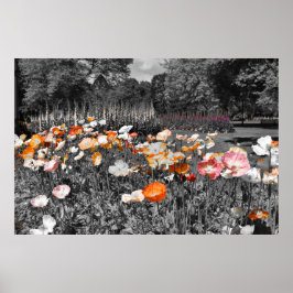 Ballarat Botanische Gärten Poster