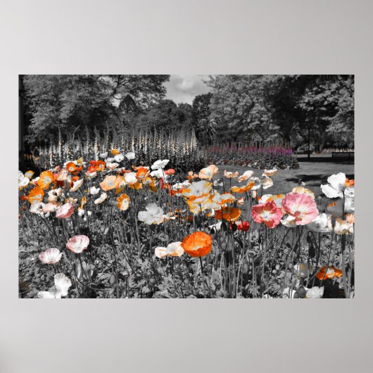 Ballarat Botanische Gärten Poster (Vorne)