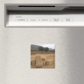 Ballen u. Mandelbäume Magnet (In Situ (Geschirrspüler))